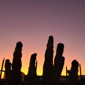 Hito 13. Ampliando Redes y Alianzas